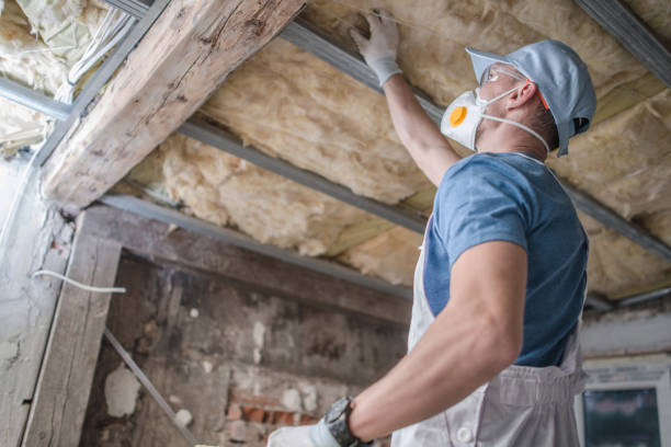 Best Spray Foam Insulation  in Mckinley, PA