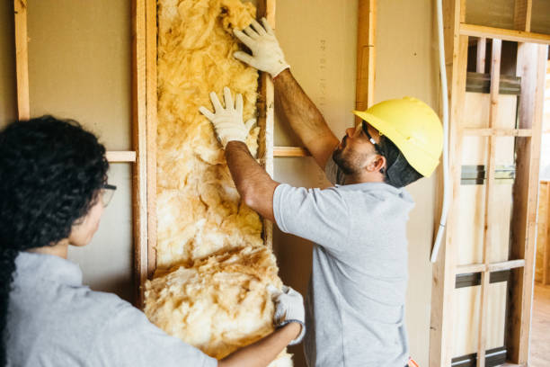 Best Insulation Contractors for Homes  in Mckinley, PA