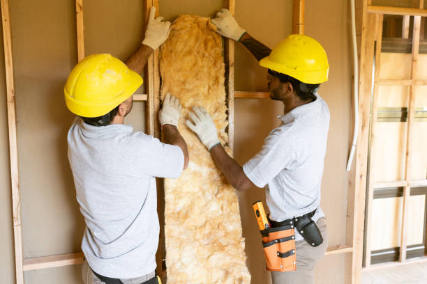 Best Insulation Inspection Services  in Mckinley, PA