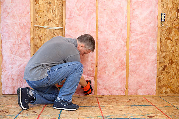 Best Wall Insulation Contractor  in Mckinley, PA