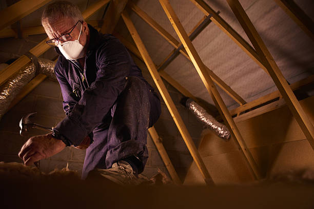 Best Insulation Removal  in Mckinley, PA