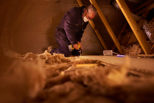 Insulation Inspection Services in Mckinley, PA